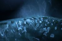 Drops
