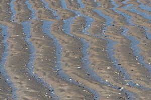 Vlieland noordzeestrand