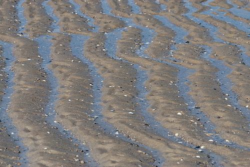 Vlieland noordzeestrand