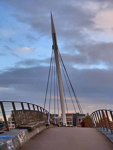 Voetgangersbrug van Edgar Schermaul