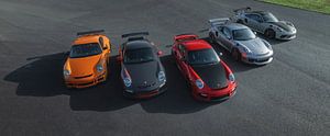 Porsche RS Line Up von Gijs Spierings