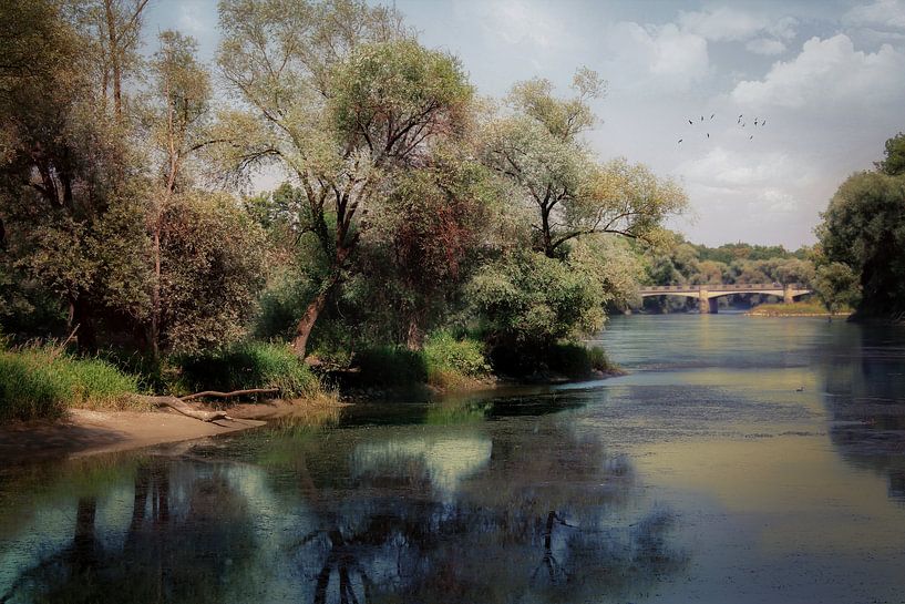 An der Donau von Franz Nagler