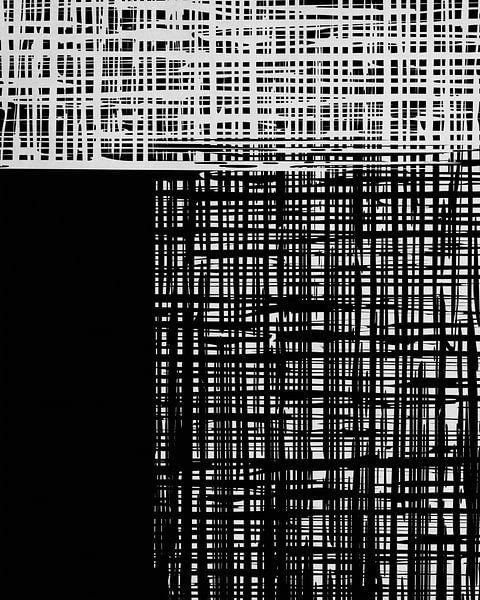 Braided Black and White by Georgia Chagas