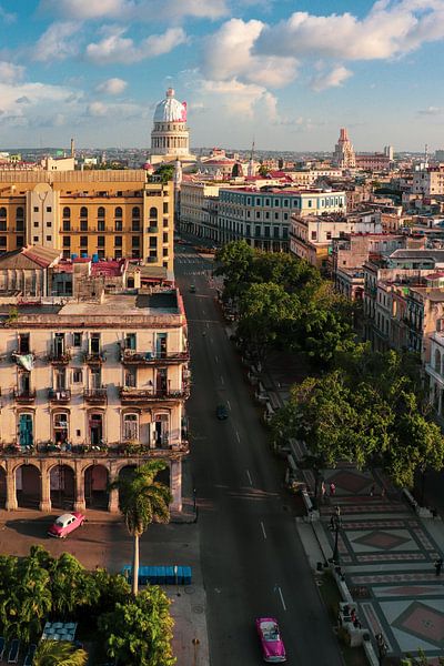 Havana by Hello Pompoyo