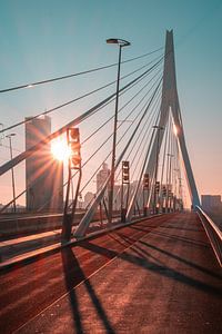 Lever de soleil sur le pont Erasmus