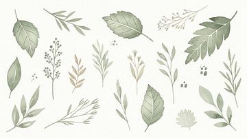 Minimalist Sage Green Botanical Elements Collection