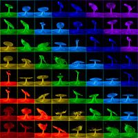 Regenbogen-Collage