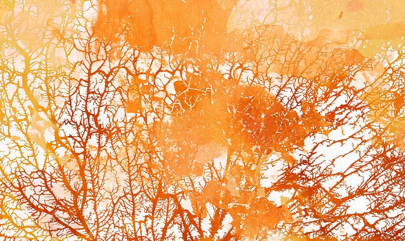 Scandinavian summer forest by Mad Dog Art