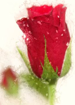 Rose of love van Dagmar Marina