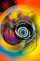 The unseen beauty around a black hole