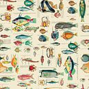 Kleurrijke vissen van Andrea Haase thumbnail