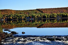 Ein Ahornwald am See im Herbst von Claude Laprise