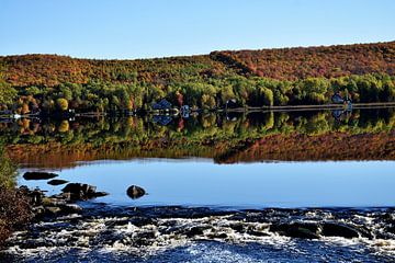 A maple forest by the lake in autumn by Claude Laprise