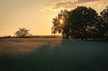 Landschap ondergaande zon van Het Boshuis