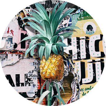 Pineapple Street Art van Marja van den Hurk