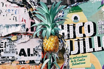 Pineapple Street Art van Marja van den Hurk