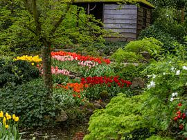 Hidden flowers by Fotografie-Broenink