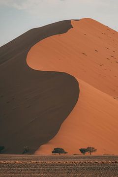 Licht en schaduw in de duinen van de Sossusvlei, Namibië van Nikkie den Dekker | travel & lifestyle photography