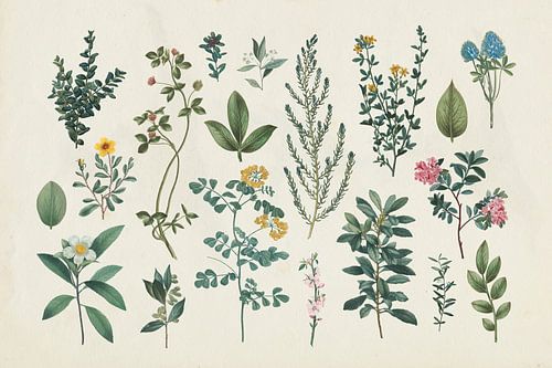 Victorian Garden III, Wild Apple Portfolio