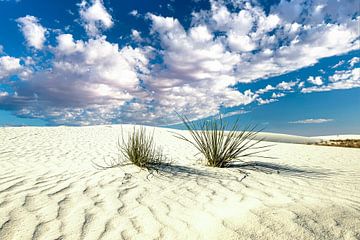Parc national de White Sands, Nouveau-Mexique, États-Unis sur Gert Hilbink