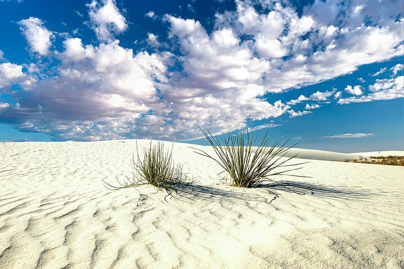 White Sands National Park, New Mexico, USA by Gert Hilbink