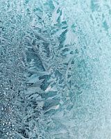 frozen
