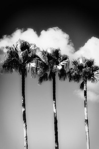 Miami Beach III par Uwe Merkel