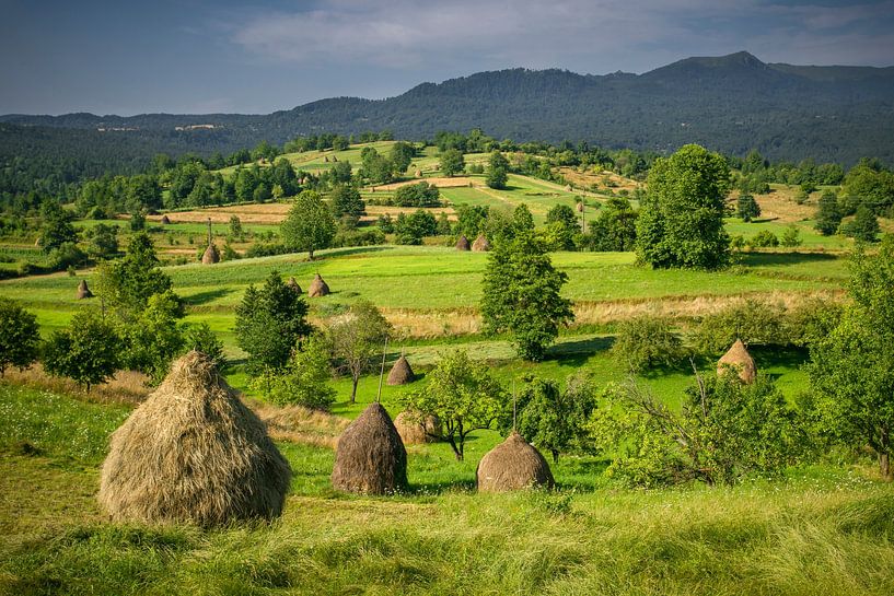 Heuhaufen in der Maramuresch von Antwan Janssen