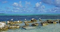 Bonaire, Sorobon