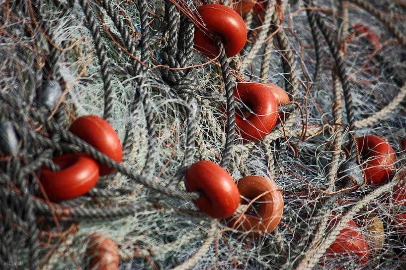 [mallorquin] ... gone fishing! - II by Meleah Fotografie