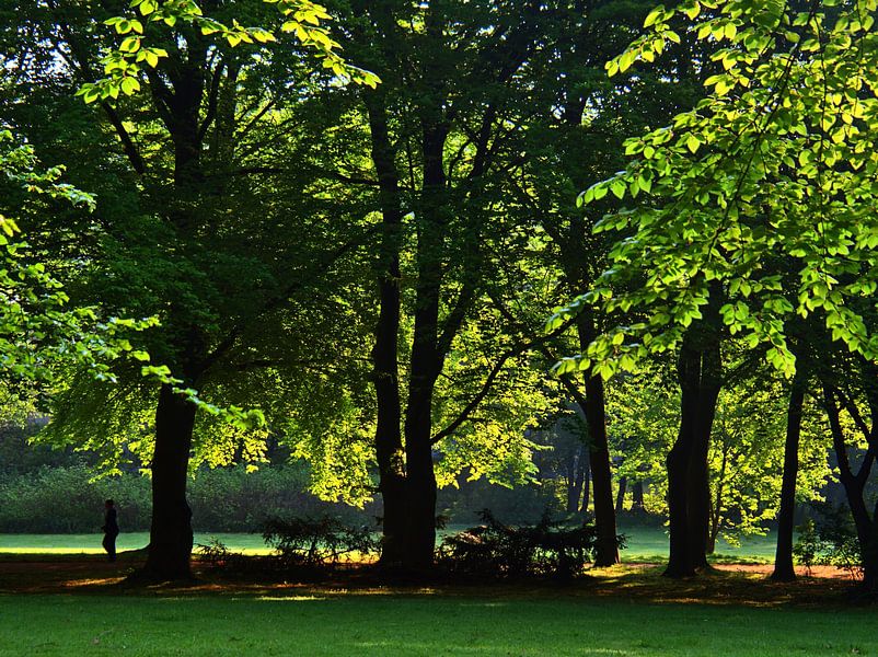Jeu d'ombres de printemps par Edgar Schermaul