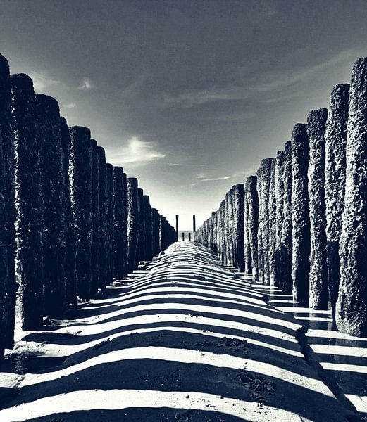 Rayures zébrées entre les pilotis par Niek Traas