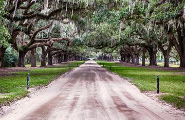 boonhall von Carin Kramer