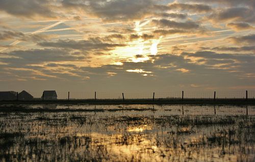 Texel Landschap 063