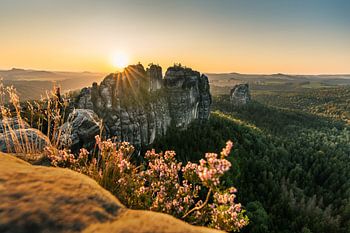 Sonnenstern am Schrammsteinfels