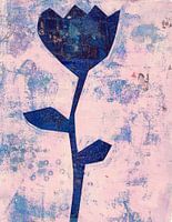 Tulp