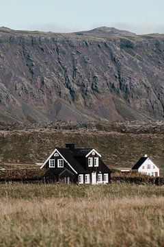 Beautiful Icelandic landscape