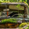Voiture abandonnée couverte de mousse dans les bois sur Axel Weidner