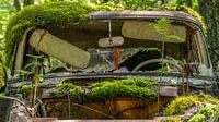 Moss-covered abandoned car in the woods