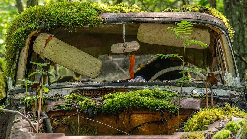 Moss-covered abandoned car in the woods by Axel Weidner