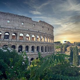 Colosseum van Jose Lok