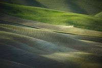 Tractor plowing the fields in Tuscany. Siena