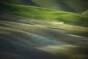 Tracteur labourant les champs en Toscane. Sienne