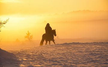 Een ruiter met paard, mist, sneeuw en de zon. Zo mooi, zo bijzonder  Foto 2 van Natuurpracht   Kees Doornenbal