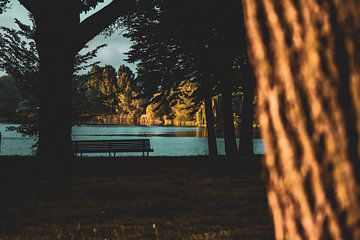 Bankje dat toekijkt op het Prins Henrikpark van Roel Timmermans