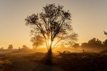 Renderklippen Heerde