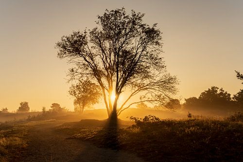 Renderklippen Heerde