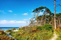 Weststrand auf dem Darß