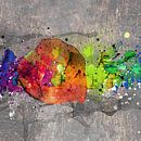 Kleuren explosie van Andreas Wemmje thumbnail