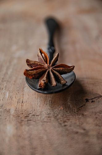 Star anise on a black spoon and walnut wood by RB-Photography